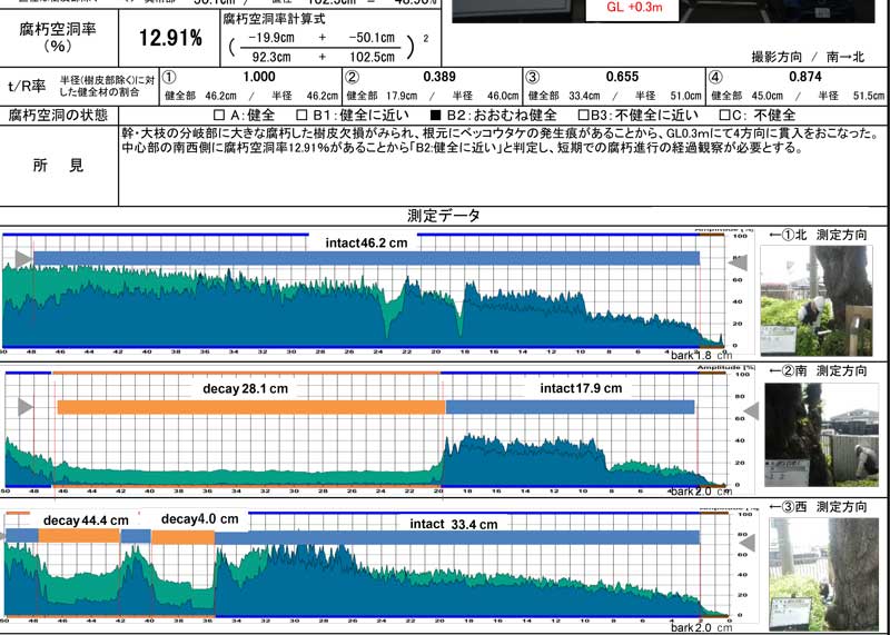 三芳町　診断調査　樹木診断　レジストグラフ　診断カルテ