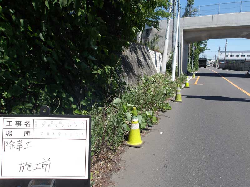 三芳町　道路除草　施工前