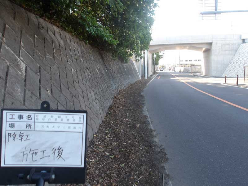 三芳町　道路除草　施工後