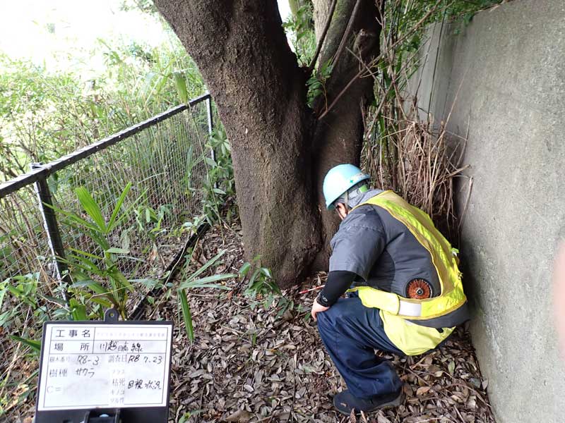 調査状況